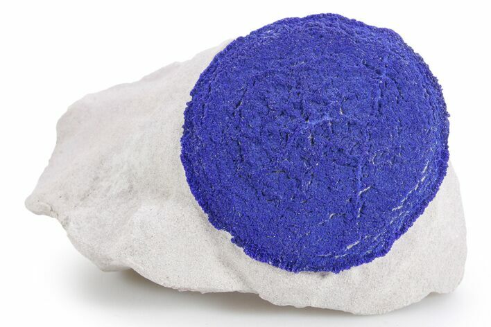 Vibrant Blue Azurite Sun on Siltstone - Australia #361139